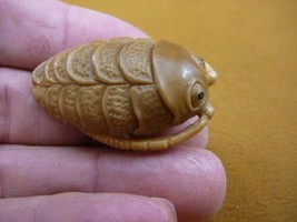 (tb-trilo-2) baby tan trilobite Tagua NUT palm figurine Bali carving tri... - £38.50 GBP