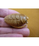 (tb-trilo-2) baby tan trilobite Tagua NUT palm figurine Bali carving tri... - €42,87 EUR