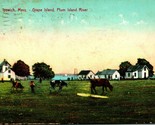 Uva Isola Plum Isola Fiume Ipswich Massachusetts Ma 1910 DB Cartolina C13 - $11.23