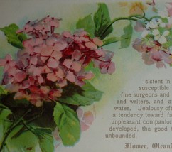 U/S C. Klein Pink Oleander and November Birthday Fortune Antique Postcard - £5.98 GBP