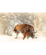 New Tigers Design Checkbook Cover - $13.54 CAD