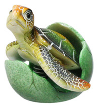 Green Nautical Marine Sea Turtle Hatchling Emerging Out of Egg Mini Figu... - $331.15 MXN