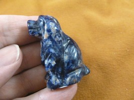 (Y-DOG-CS-569) Blue gray COCKER SPANIEL dog gemstone stone carving show ... - $14.01