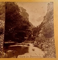 View of Dovedale England European Views Stereoview Photograph - $8.86