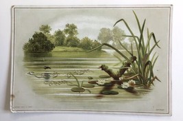 Raphael Tuck &amp; Sons Christ is Risen Indeed Victorian Trade Card Lily Pad... - $12.00