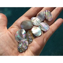 Paua Natural Abalone Shell Oval Set of 10 Pieces Cabochon Gemstones for Jewelry - £11.06 GBP