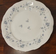 Vintange Johann Haviland Bavaria Dinner Plates Floral Platinum Trim Rare - $12.54