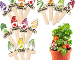 Gnome Wooden Plant Markers for Vegetable Flowers Garden Potted Plants Ta... - $21.57