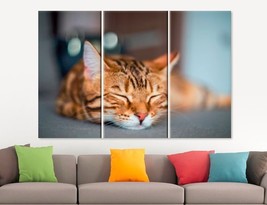 Cute Cat Canvas Print Cat Wall Art Sleepy Kitten Poster Red Cat Lover Gift Home  - £38.95 GBP