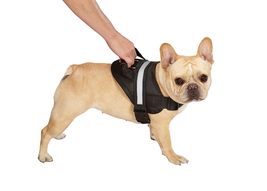 Dog Harness Deluxe Easy Grab Padded Handle with Reflective Strip for Wor... - £24.93 GBP+