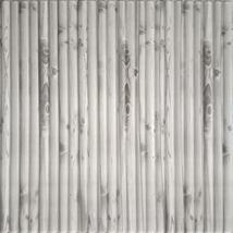Dundee Deco PJ2212 Off White, Grey Bamboo Shoots 3D Wall Panel, Peel and Stick W - £10.13 GBP+