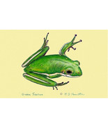 Betsy Drake Green Tree Frog Door Mat 30 x50 - €87,10 EUR