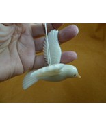 TNE-BIR-DO290a white Peace DOVE doves bird TAGUA NUT ornament figurine V... - $38.32