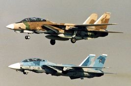 2X Plastic 1/144 Kits F-14A&#39;s In Nsawc Aggressor Paint And Markings Style #1 - £19.69 GBP