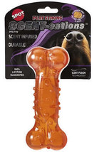 Peanut Butter Infused Durable TPR Dog Toy Bone with Dental Nubs and Squeaker - £8.49 GBP+