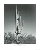 Ansel Adams, Saguaro National Monument, Arizona, 1941, Vintage Poster, 1... - $19.49