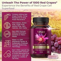 Vinia Red Grape Powder Rapid Absorbtion Piceid Resveratrol 30 Veggie Capsules - £38.94 GBP