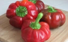 New Fresh 25 Seeds Sweet Red Pimento Peppers Garden Fresh Planting - $7.00
