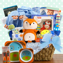 Grand Welcome: Baby Boy Gift Basket - $350.95