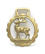 John O Groats Harness Medallions Horse Ornament Solid Brass Vintage - $24.72