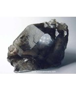 Elestial Citrine Crystal, Jacare Quartz Crystal, Natural Citrine Quartz ... - $2,208.58 MXN