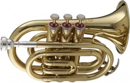 Stagg Ws - Tr245 Bb Pocket Trumpet With Case 6.00 X 3.00 X 8.00 Inches - £240.79 GBP