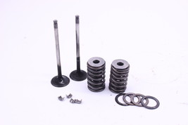 2007 Honda Sportrax 400 Trx400ex 2x4 Oem Exhaust Valves And Springs S6244 - £50.84 GBP