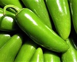 Hot Pepper Seeds Jalapeno Tam 50 Seeds Non-Gmo Fast Shipping - $7.99