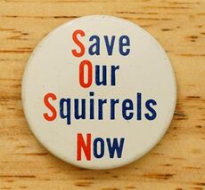 Vintage Pinback Button Save Our Squirrels Now SOSN Environmental Protest - $9.89