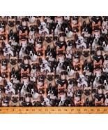 Cotton French Bulldogs Animals Pets Multicolor Fabric Print By Yard D760.48 - £25.10 GBP