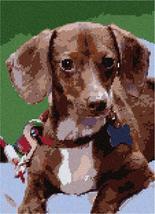 Pepita Needlepoint Canvas: Dachshund Posing, 9&quot; x 12&quot; - £70.39 GBP+