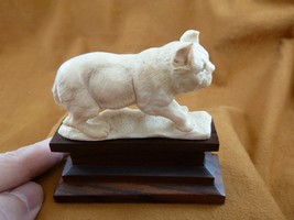 (LYNX-6) large white Lynx cat Bobcat shed ANTLER figurine Bali detailed ... - £61.98 GBP