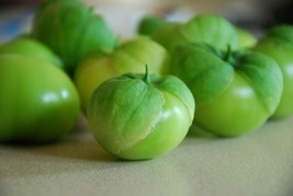 150 Toma Verde Tomatillo Heirloom Vegetable Seeds - £14.18 GBP