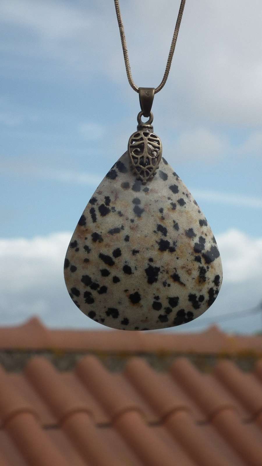 Dalmatian jasper necklace with bronze bail - $23.13