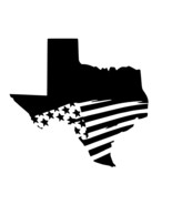 Texas state usa flag Digital download Texas SVG File, Texas Flag SVG png cricut - $1.99