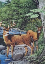 Evergreen White Tail Deer Satin Reflections Garden Flag - 29&quot; X 43&quot; NEW ... - $17.94
