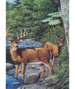 Evergreen White Tail Deer Satin Reflections Garden Flag - 29&quot; X 43&quot; NEW ... - £14.29 GBP