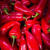 Seeds 25 Fresno Chili Hot Pepper Vegetable Garden Heirloom - £5.68 GBP