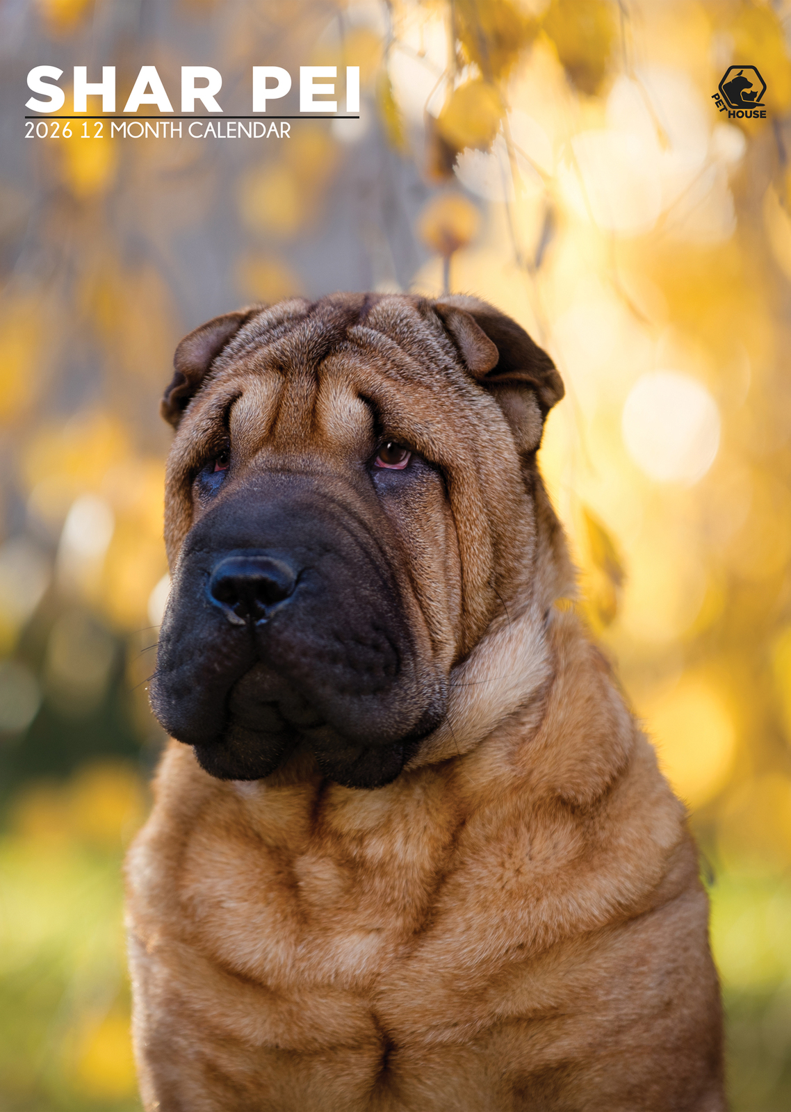 Shar Pei Calendar 2026 - $19.99