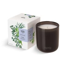 Sprig by Kohler Breathe Aromatherapy Candle with Eucalyptus and Mint -8 oz - $104.60 Sprig by Kohler Breathe Aromatherapy Candle with Eucalyptus and Mint -8 oz - $104.60 MXN