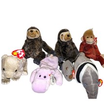 Ty Beanie Babies 7 Lot Featuring Sloths, A Anteater, And A Bear Oh My An... - £16.17 GBP