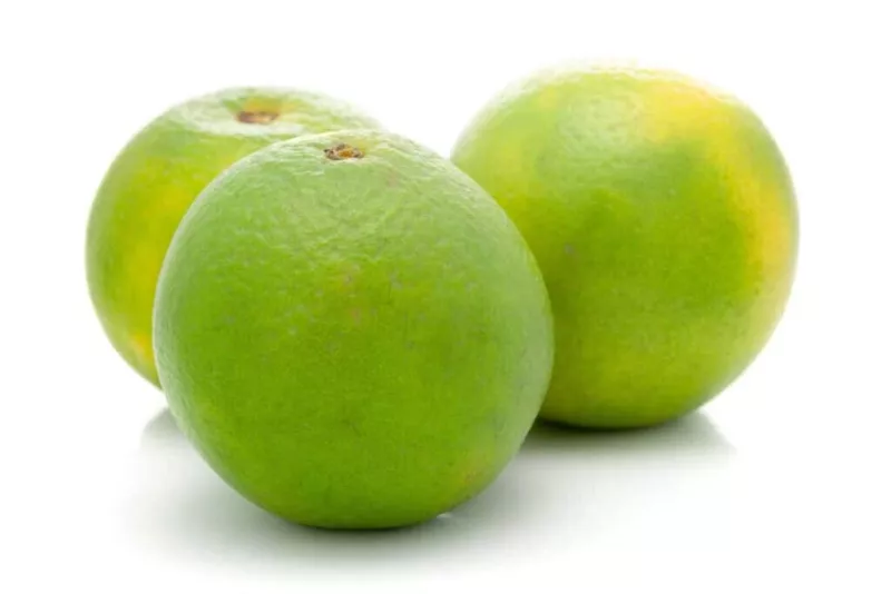 5 Sweet (Lime) Lemon Seeds for Garden Planting - $11.98