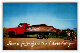 Joke Saw a Fair Sized Trout Here Today Fish on Back of Truck Postcard Unposted - £3.90 GBP