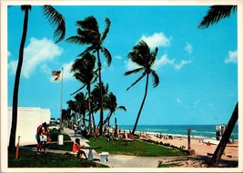 Tropical Boynton Beach Florida Gold Coast Postcard PC151 - £3.92 GBP