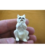 (Rac-2) white Raccoon sitting of shed ANTLER figurine Bali detailed carv... - £60.65 GBP