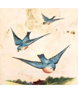 1920s Hearty Greeting Card Postcard Spring Blue Birds Antique Ephemera E83C - $27.43 CAD