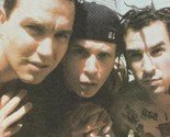 Blink 182 teen magazine pinup clipping Total Access shirtless rock band pix - $7.00