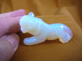 (Y-TIG-557) White Albino TIGER gemstone carving FIGURINE CATS tigers wild cat - £11.01 GBP