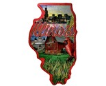 Illinois State Outline Foil Fridge Magnet - $6.49
