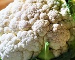 Self Blanching Cauliflower Seeds 200 Seeds Non-Gmo Fast Shipping - $7.99